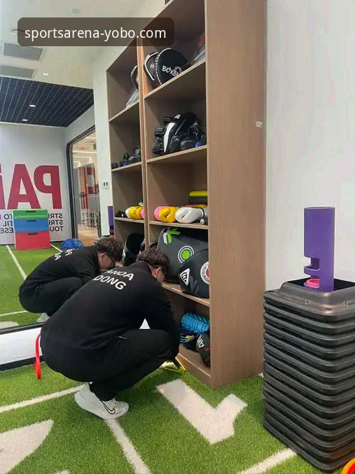 资深用户分享：在yobo体育平台沉浸式体验阿森纳角球制胜的战术魅力