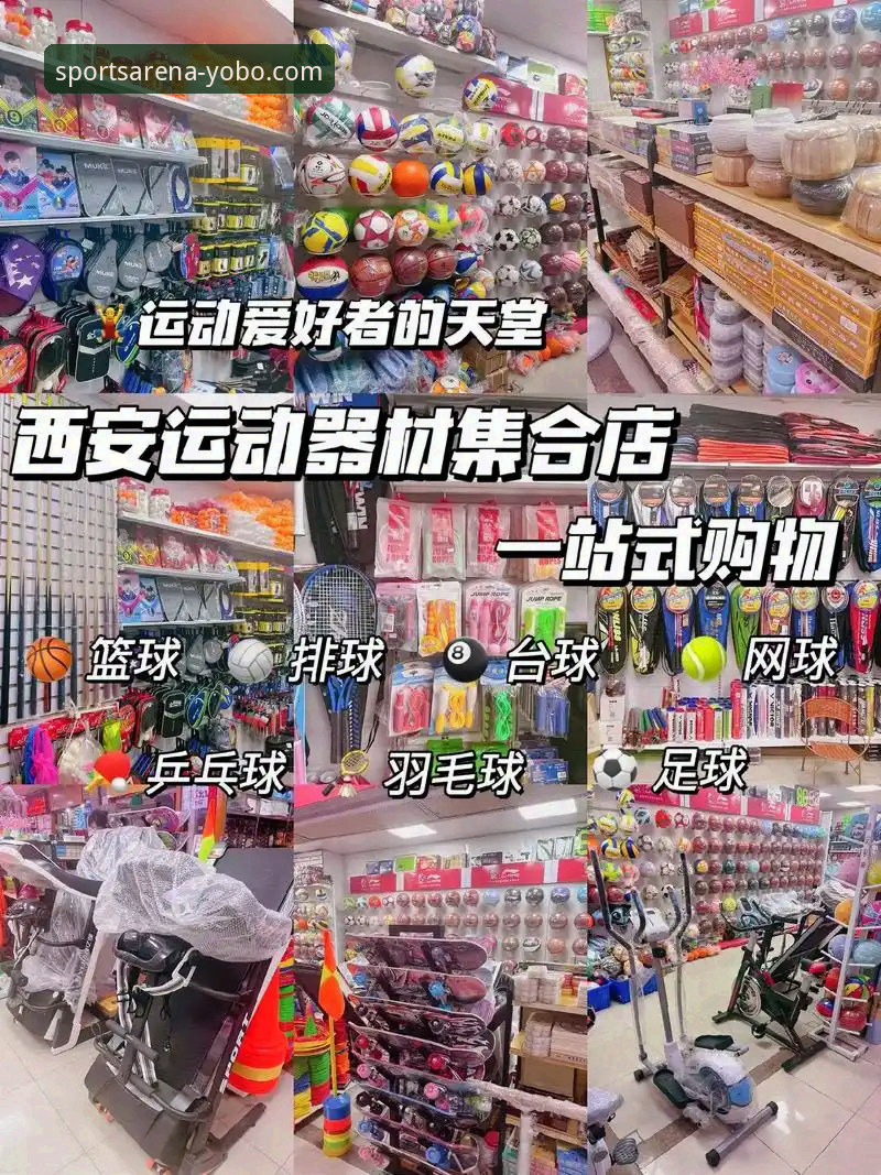 揭秘yobo体育综合平台：一站式体育娱乐生态的崛起与未来